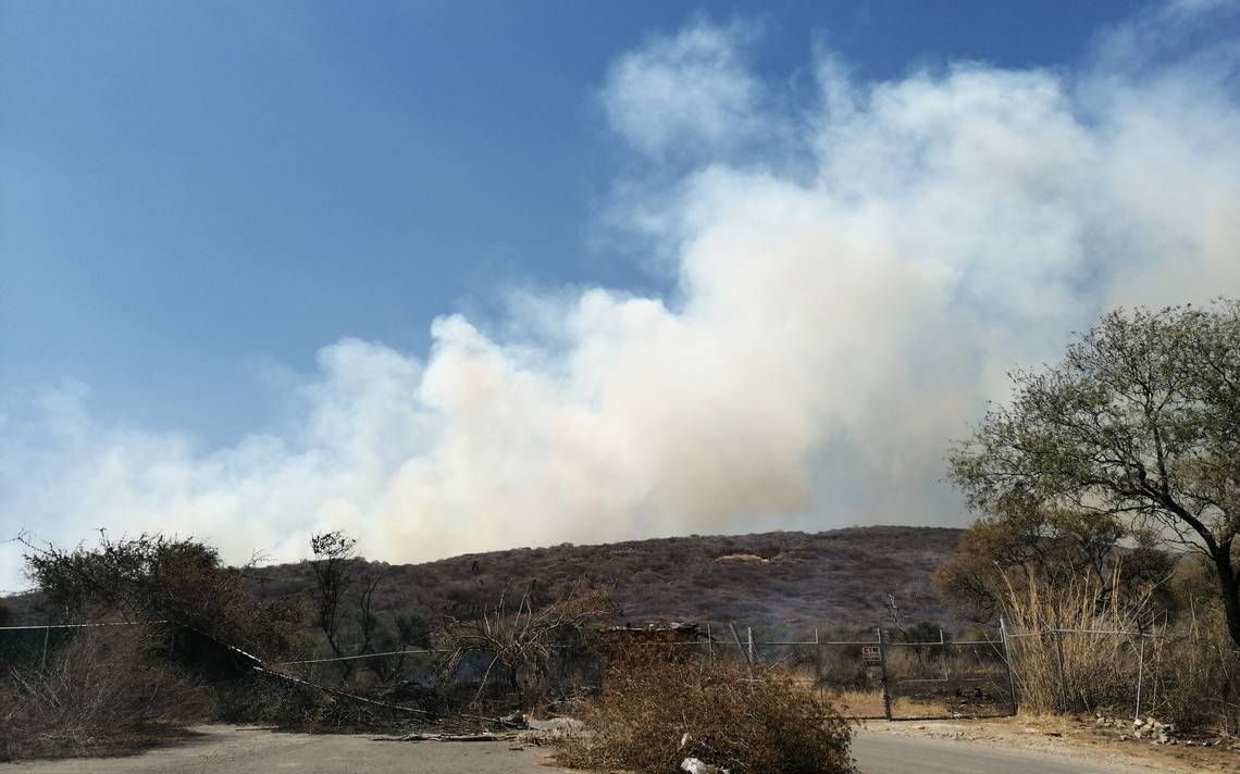 Advierten deforestaci n en Santa Cruz de las Flores El